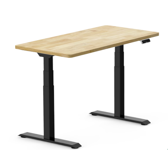 Flexispot Sit to Stand Desk