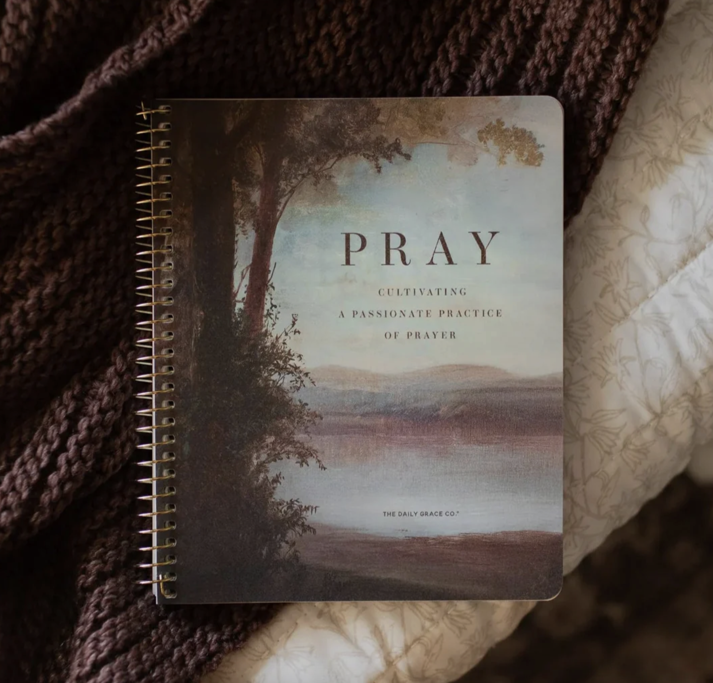 7. Daily Grace Co Pray Bible study